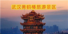 美女操逼网页